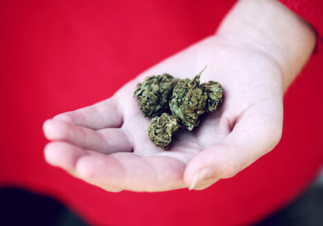 medical marijuana in hand